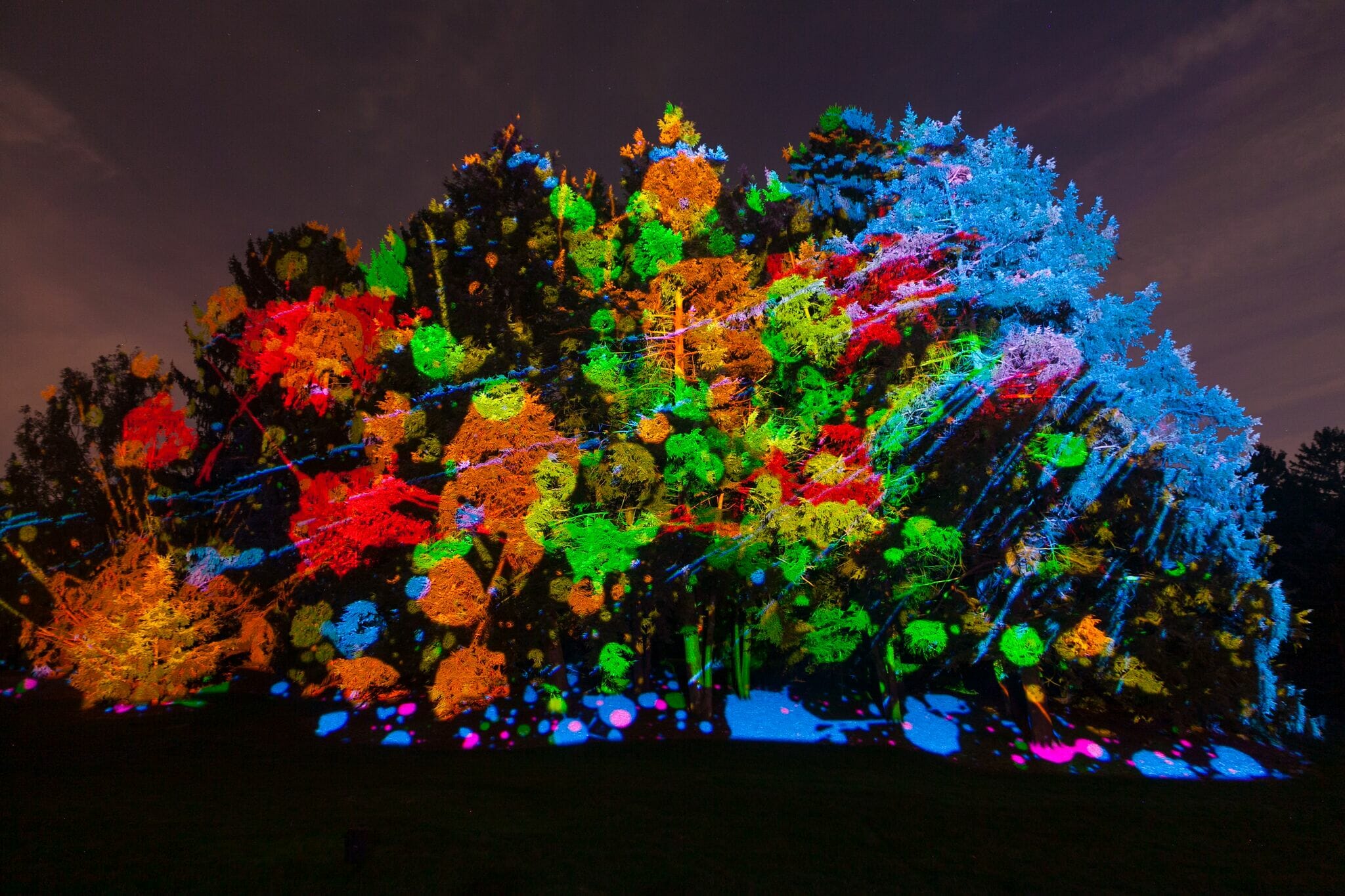 night trees holiday lights rainbow
