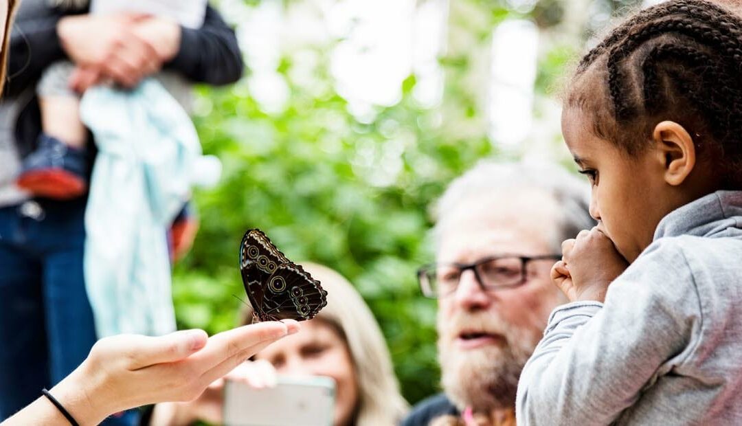 10 Museums in Chicago You May Not Know